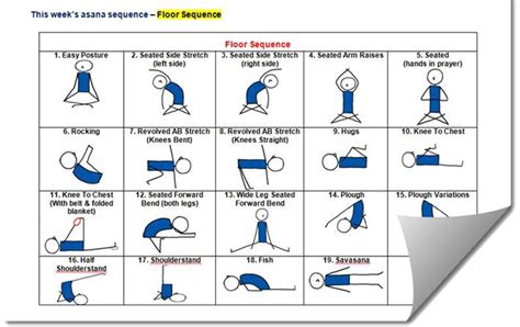 Yoga Sequencing Lesson Plans Daisy Blake