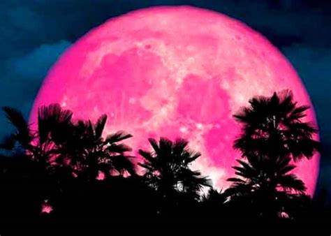 Super Luna Rosa Entre Los Eventos Astronómicos Para Abril 2021 Tn8 Tv