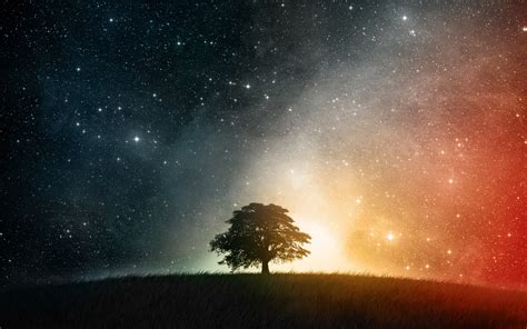 Tree Under Starry Night Stars Trees Space Nature Hd Wallpaper