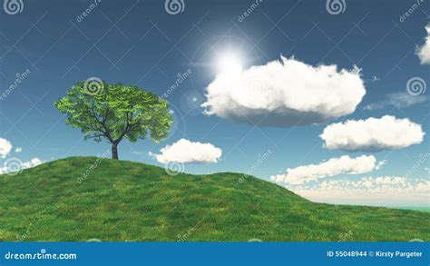 3d Tree On A Grassy Hill Stock Illustration Illustration Of