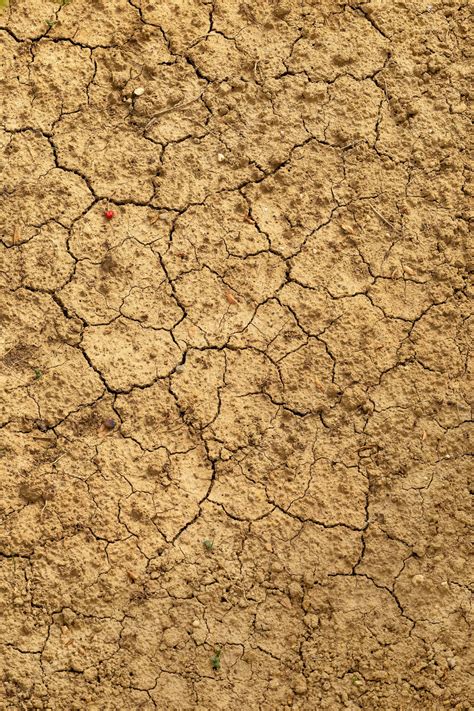 Download Cracked Dry Mud Soil Texture Wallpaper