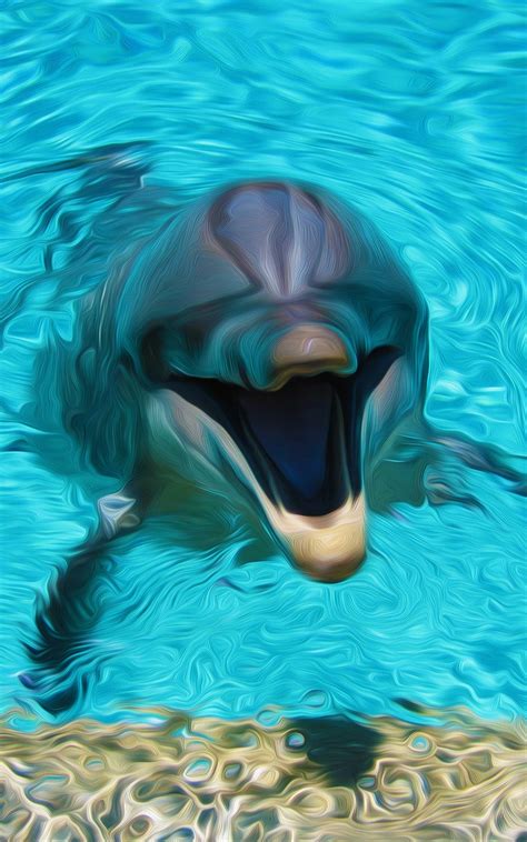 Cool Dolphin Wallpapers Top Free Cool Dolphin