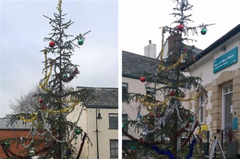 Does This Devon Town Have Britains Worst Christmas Tree Devon Live