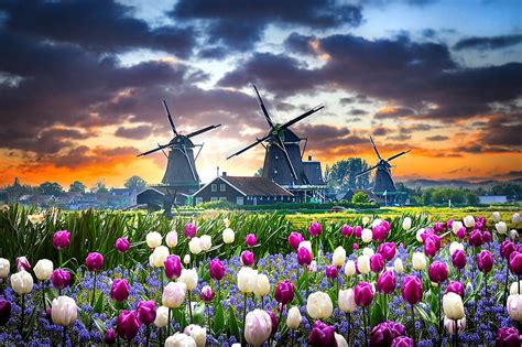 Holland Windmills Colorful Windmill Holland Dutch Flowers Bonito