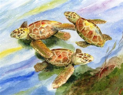 Baby Sea Turtles Watercolor Art Print By Barry By Fishfanatic