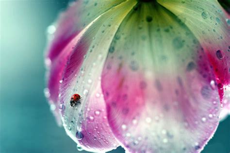 35 Beautiful Examples Of Rain Photography — Smashing Magazine