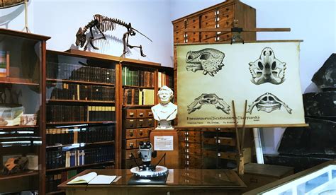 Das Institut Senckenberg Centre For Human Evolution And