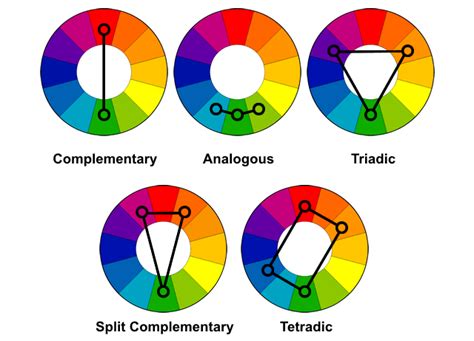 Basics Of Color Theory To Know What Looks Good