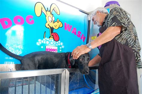 What owner doesn't want a fetchingly clean, fluffy, happy dog without the hassle of prepping and cleaning up afterward? Wilmington gets the K9000, the self-serve DIY dog washing station from down under | Port City Daily