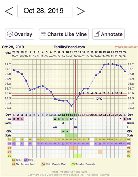Bbt Differences On Bfp Chart — The Bump