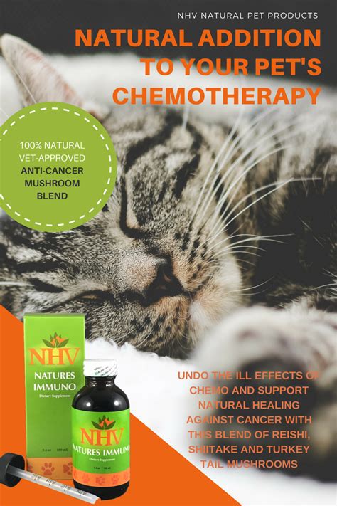 Diabetic Cat Tale Nhv Supplements 5 Nhv Natural Pet Products Blog