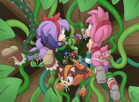 1534772 Amy Rose Perci Sonic Team Sticks The Badger The