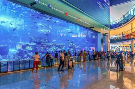 Citta mall has been mentioned more than a dozen times throughout the rss channels we monitor. Dubai: perché è la tappa del momento? - Mister White ...