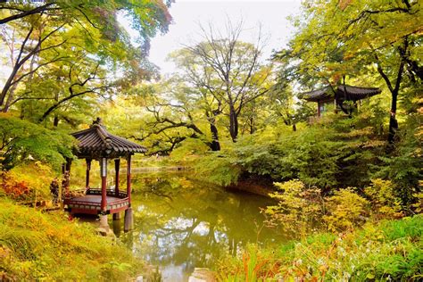 15 Photos That Will Convince You To Travel To South Korea Dame Traveler