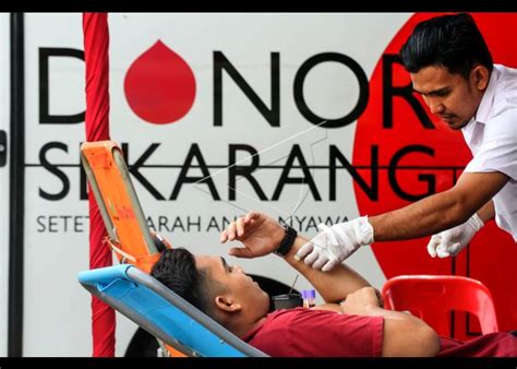 Donor Massal Perhimpunan Donor Darah Indonesia ANTARA Foto