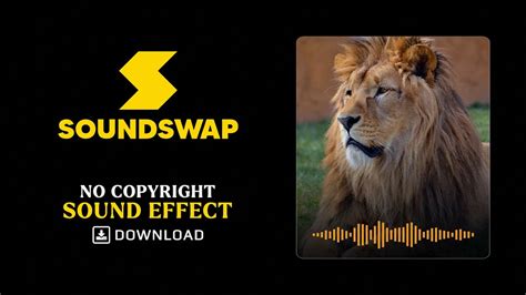 Lion Roar Sound Effect By Soundswap Youtube