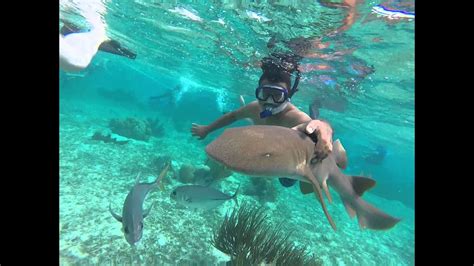 Snorkeling In San Pedro Belize Youtube