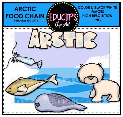 Arctic Food Chain Clip Art Mini Bundle Color And Bandw