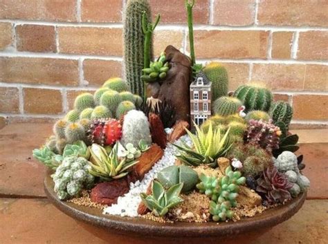 Cute Cactus Decor Ideas For Your Home 67 Jardim De Cactos Jardim Com