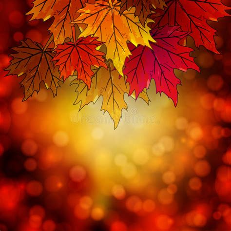 Autumn Leaves On An Autumn Background Bokeh Stock Vector Illustration