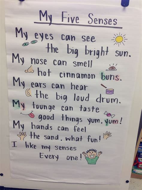 Ms Rogers 5 Senses Poem Senses Preschool Kindergarten Learning