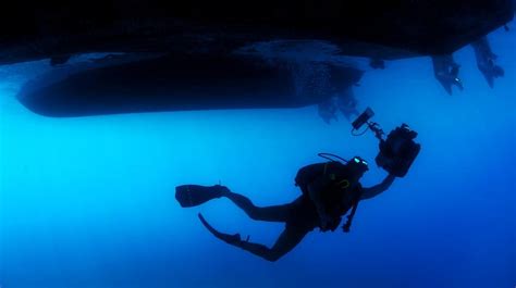 7 Reasons Why You Must Add Scuba Diving To Your Bucket List Deep Blue