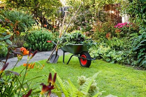 Cómo Cuidar El Jardín Como Un Profesional Plantas