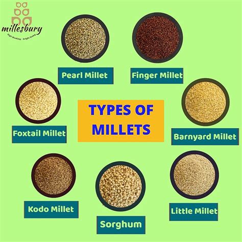Types Of Millets And Their Benefits Millesbury