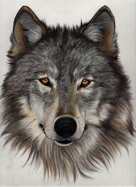 New Ideas Wolf Painting Wolf Artwork Wolf Tattoos