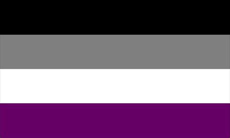 Asexual 12x18 Flag Flag Matrix