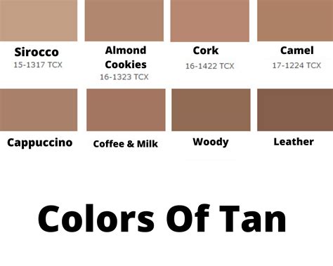 100 Shades Of Tan Color Names Hex Rgb Cmyk Codes 59 Off