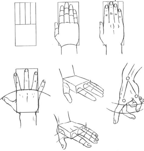 Aprenda A Desenhar Aprenda A Desenhar Mãos