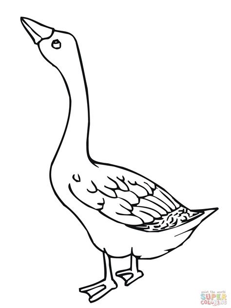 Goose In Field Printable Coloring Page