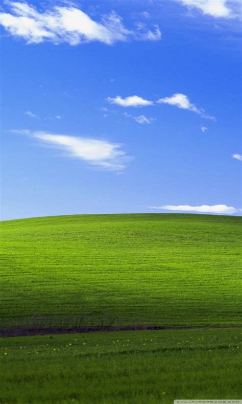 Mobile Window Xp Backgrounds Wallpaper Cave