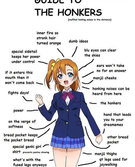 Basic Guide To The Honkers Love Live School Idol Project Know