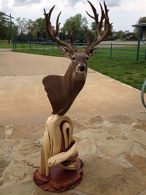 Floor Mount Taxidermy Pedestal For White Tail Buck Taxidermy