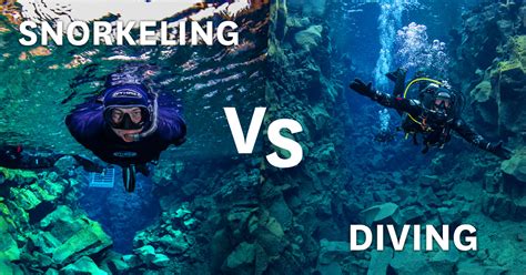 Difference Between Snorkeling Skin Diving And Free Diving