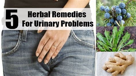 5 Home Remedies For Urinary Incontinence By Top 5 Youtube