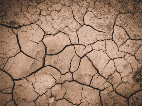Dry Cracked Brown Earth Background Stock Image Image Of Outdoor