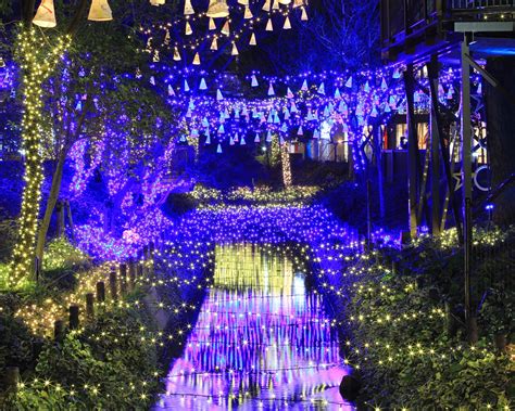 Nature Illuminated: Immerse Yourself In A Magical Illuminated Garden