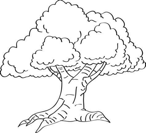 Tree Drawing How To Draw A Tree Easy Drawings Easy