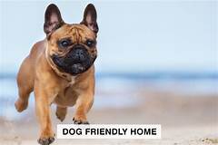 Pet Paradise Discover Dog Friendly Homes For Rent In Kannapolis