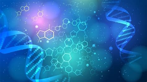 DNA Ancestry Services Washington Consumers Checkbook