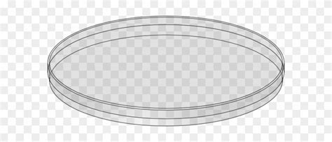 Petri Dish Clipart Petri Dish No Background Free Transparent Png