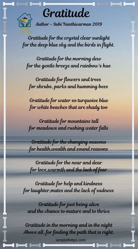 How The Power Of Gratitude Can Change Your Life? - Simply Life Tips