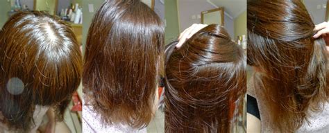 Beauty Blog By Deedee Young Hair Revlon Colorsilk 46 Medium Golden