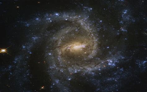 Da Hubble La Curiosa Immagine Della Galassia Ngc 2835 Foto Sky Tg24