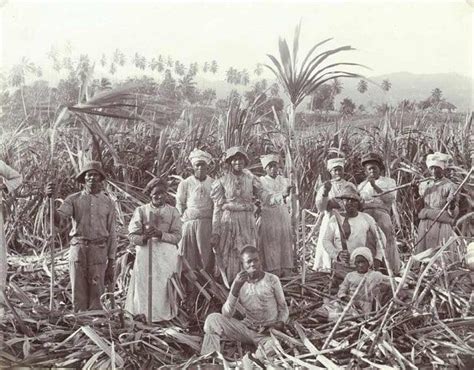 Here Workers Take A Rest From The Hard Physical Toil Of A Sugar Cane