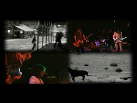 The Stone Coyotes - Hammer on the Nail Lyrics