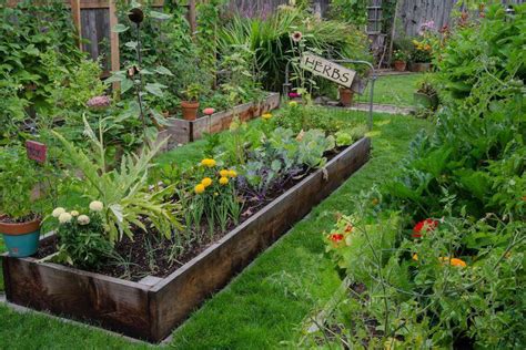 How To Create An Herb Garden In You Own Backyard